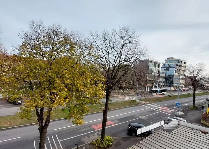 Rio コンスタンツァ